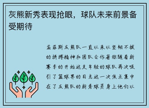 灰熊新秀表现抢眼，球队未来前景备受期待